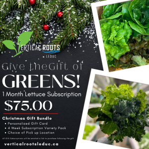 Christmas Subscription Bundle